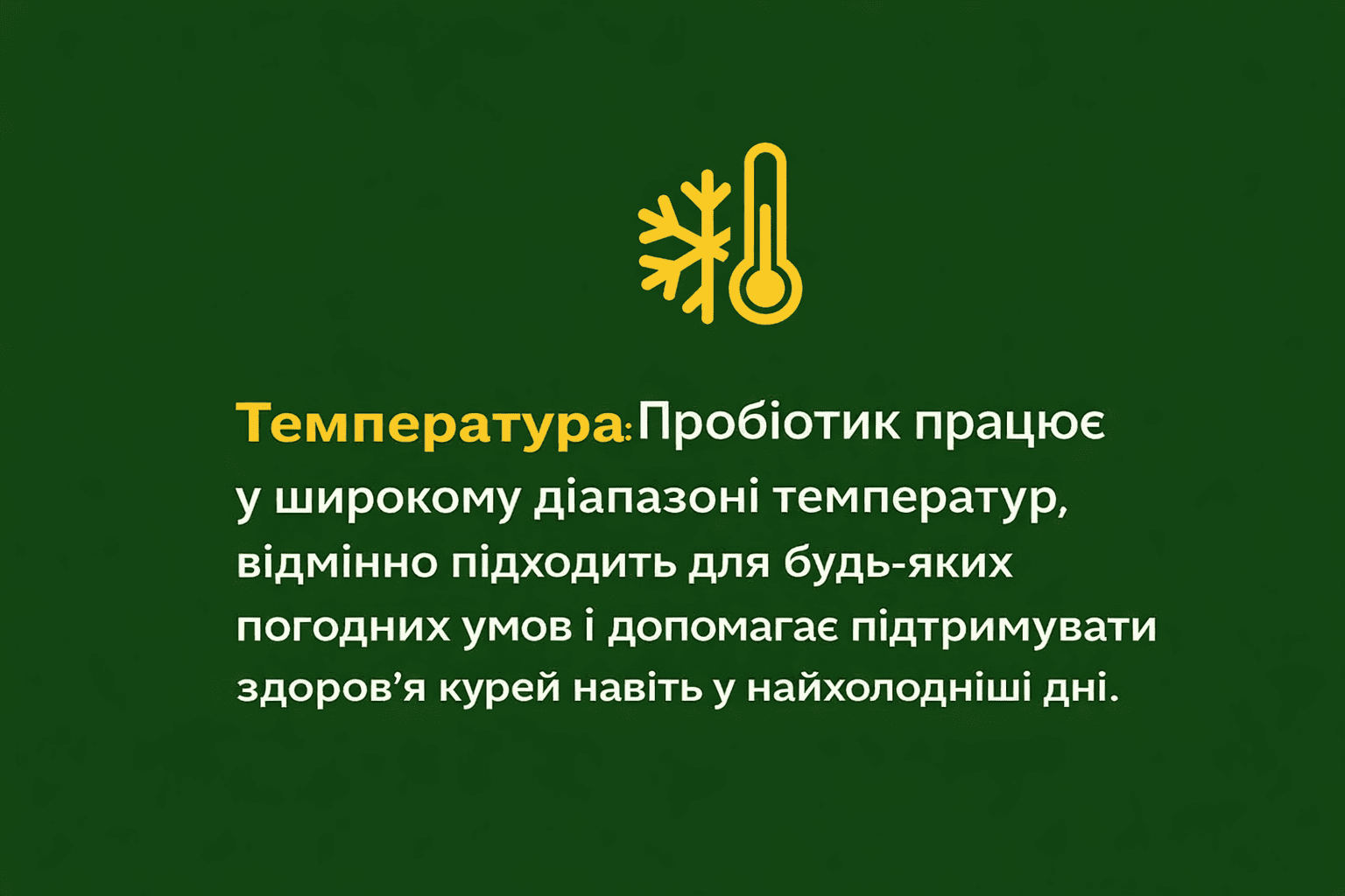 ChatGPT Image 17 февр. 2026 г., 15_41_24