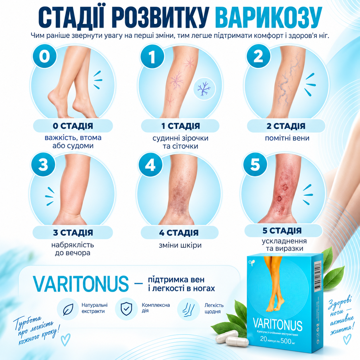 Будова вен